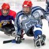 Sheffield Steelkings